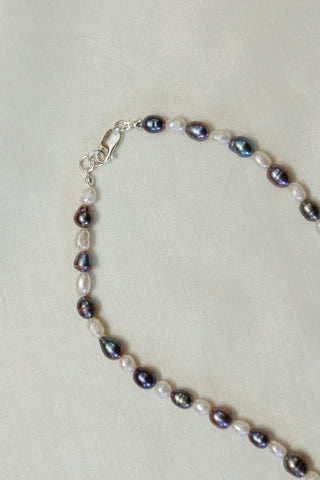 Mono Conch Necklace